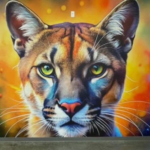 B. Custom Wallpaper Solutions & Custom Vinyl Graphics